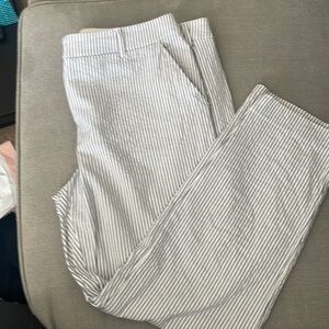 Express 12 Ankle Pants